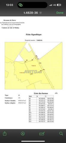 land for sale 300000 m2 - 2