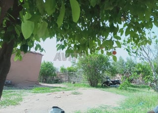 Vente ferme avec petite villa