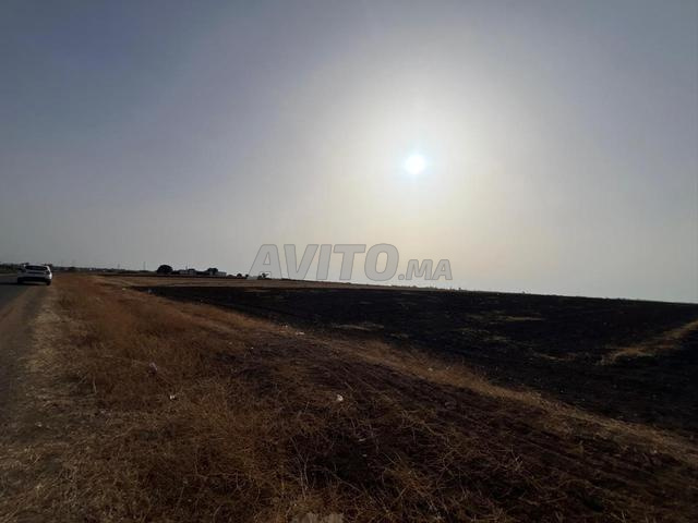 Terrain titré 1,35 ha - Oulad Ziane (Benslimane)