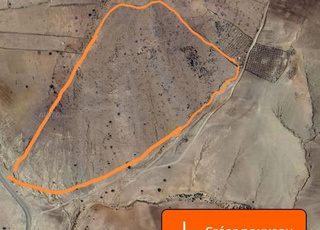 سدي كامل طريق الغابة