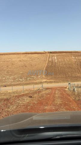 terrain titre 1 Hectar et demi - 2