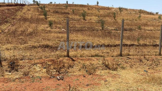 terrain titre 1 Hectar et demi