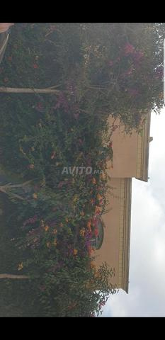 Villa a vendre situé à dar bouaaza  - 2