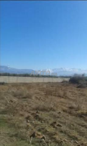 avendre terrain Titré de 40 ha sur rte amizmiz 