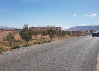 Demi hectare a Route Jerada