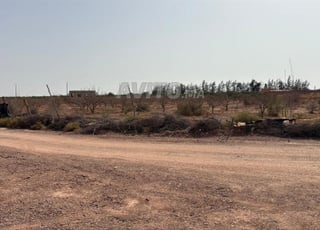 Terrain 11000 m² à vendre à Sidi Moussa Lhamri