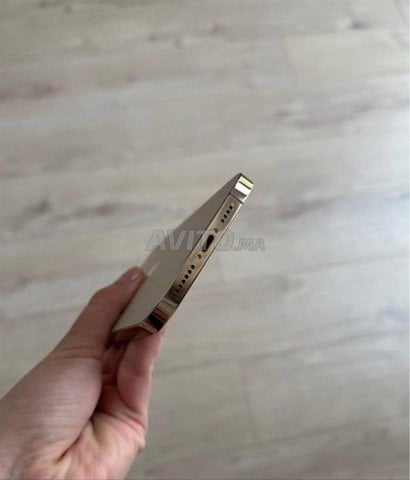 iPhone 12 Pro Max - 128 Go - Excellent état