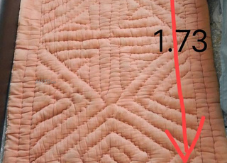 2 فراشات معمرين بصوفة مخدومين على ليد 