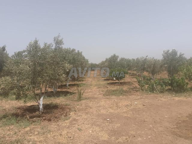 دار بماء ليها فها وضو ثيثر فونسي فيه غرس جيوسكن 