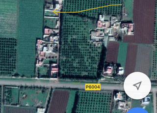 Terrain de 520 mètres, titré, près de Kafimour Saïdia