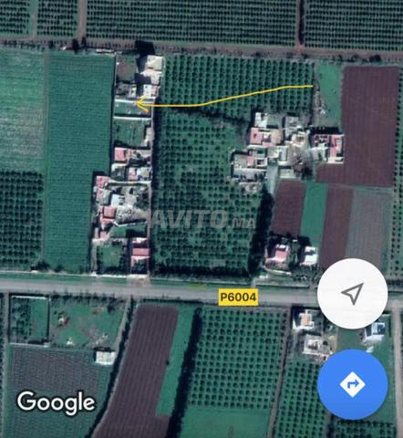 Terrain de 520 mètres, titré, près de Kafimour Saïdia