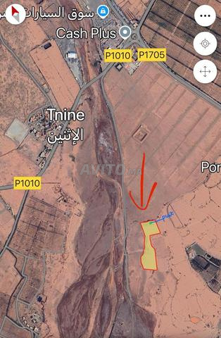 Terrain titré de 1,5 hectare à Issen (Agadir) 