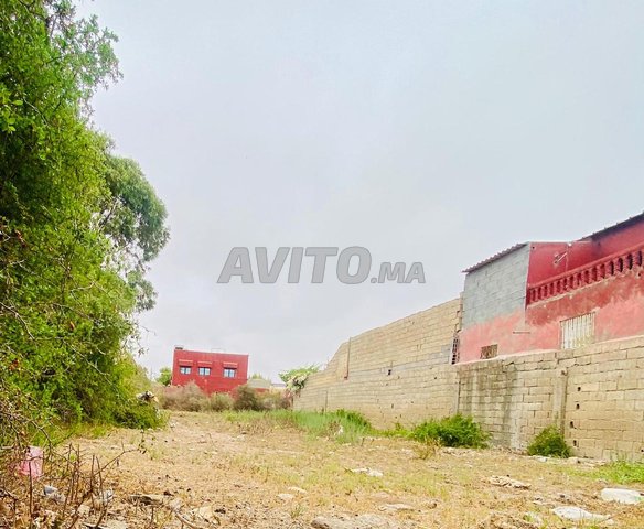 **Beau terrain - Proximité immédiate de la plage**
