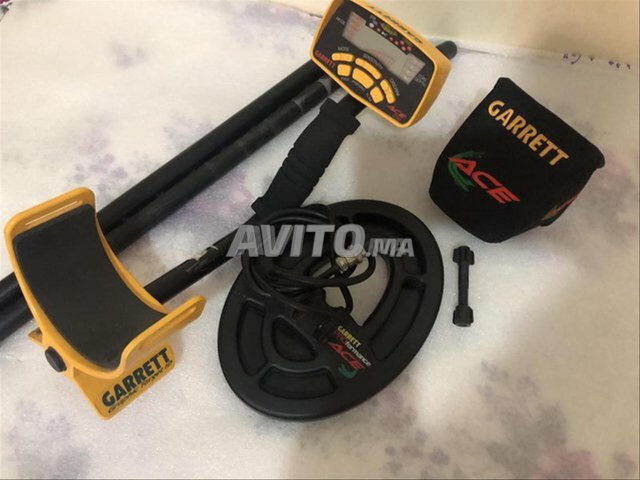 GARRETT ACE 250 en très bon état