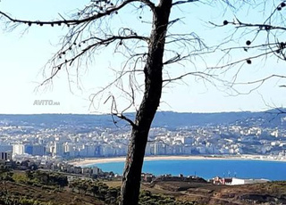 ارض للبيع للفيلاة