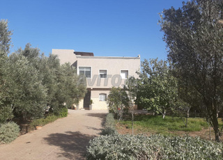 Ferme clôturé 1 hectare à côté de Deroua 