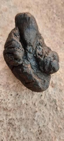 قطعة عنبر طبيعي نادر (عنبر اسود) 