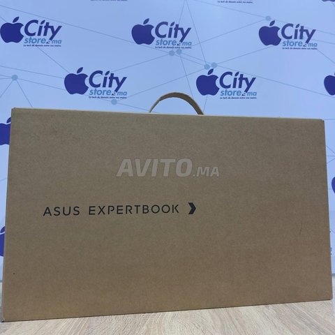 ASUS ExpertBook (i7 13eme/8Go/512Go/15,6 FHD)