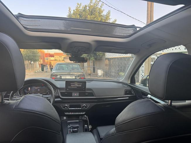 Audi Q5 35 TDI Hybride Diesel