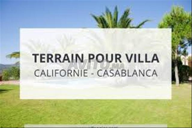 أرض للبيع 2000 متر مربع منطقة فيلا