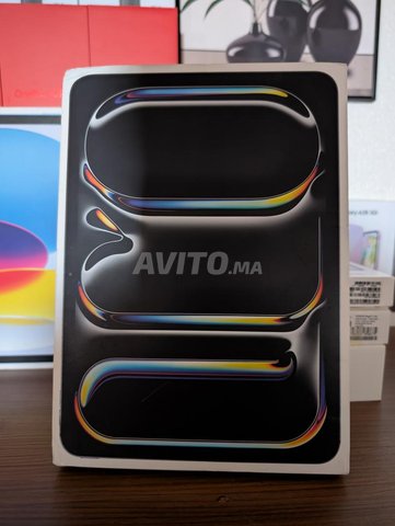 ipad pro M4 wifi 11 pouce 512 go 
