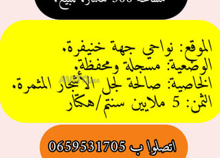 TERRAIN VASTE DE 500 HECTARES EN VENTE