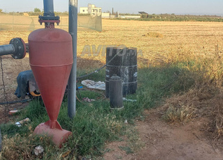 1 hectar titré et demi