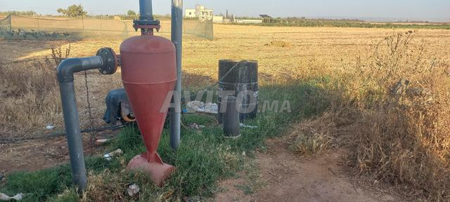 1 hectar titré et demi