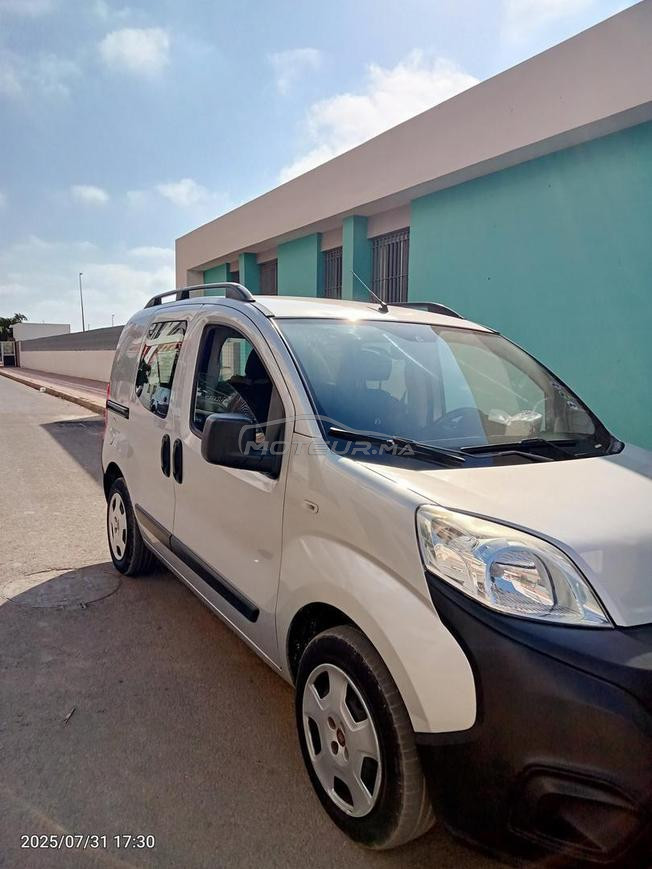 fiorino