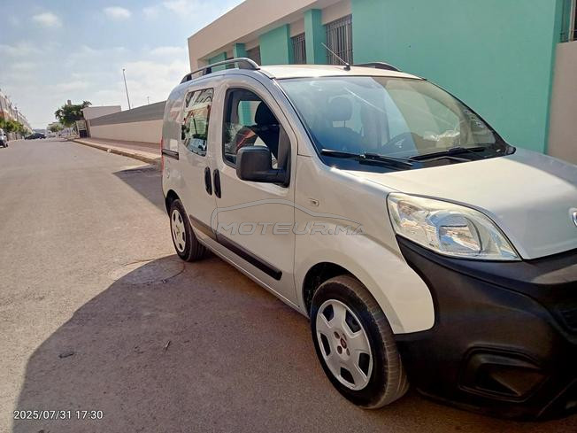 fiorino