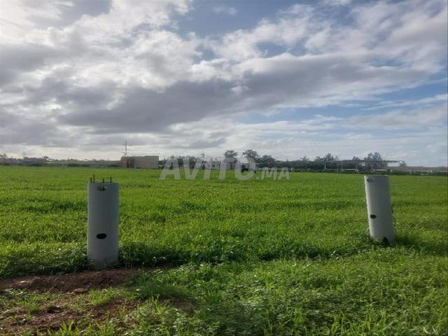Vente Ferme 34 500 m² à Benslimane Maroc