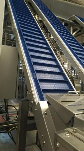 كنقلب على خذمة فكازا كما كانت 