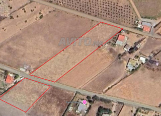 Terrain titré 8000 m², 10 min du centre Benslimane