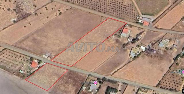 أرض موثقة 8000 متر مربع، 10 دقائق من مركز بنسليمان