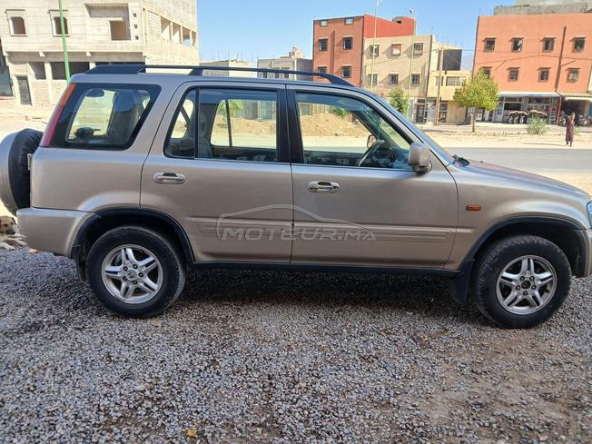 voiture solide robuste tout terrain