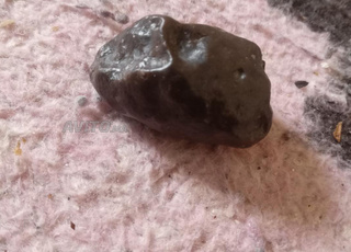 نيزك وجد في نواحي الداخلة 