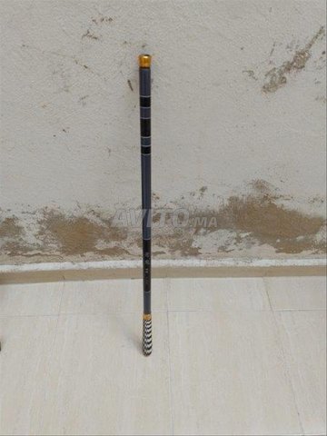 Canne fibre carbone ulta légère 