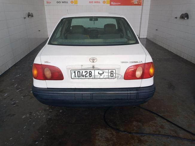 Corolla model 99