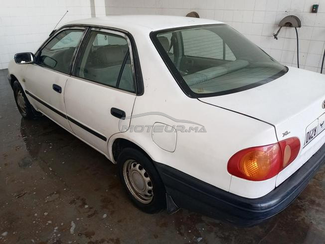 Corolla model 99
