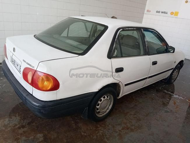 Corolla model 99