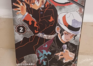 Demon slayer T2 promo 👌💯