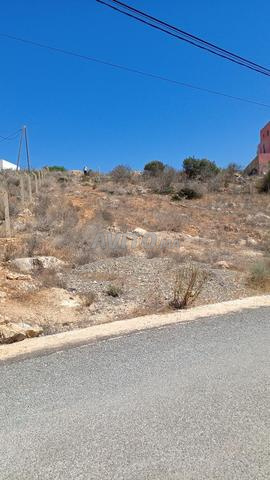 أرض مسجلة 1250 متر على طريق صفيحة الحسيمة - 2