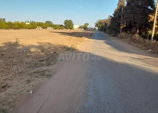 Terrain à Vendre – Zone Villa à Menzeh, Rabat