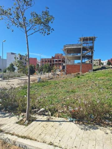 Terrains à vendre dans l'expérience Al-Yamama Zamouri près de la gare routière