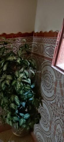 Appartement avenue Ibnou 3ardoune
