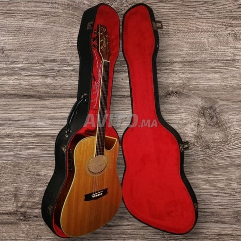 Guitare Electro-acoustique Vantage avec Case