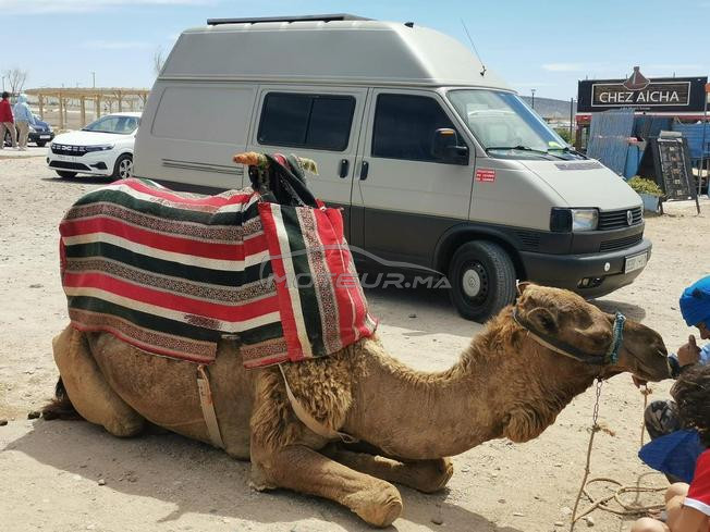 Caravane à louer – idéale pour road-trips 