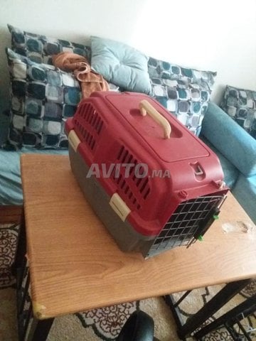 Cage en très bon état et bon prix 150 dh