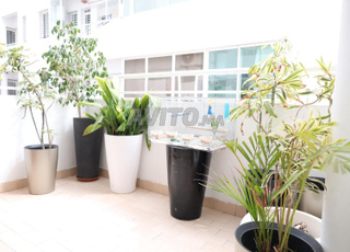 🏡 Appartement 135 m² Résidence du Palais – Oulmes