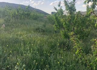  فيرما نواحي ايموزار كندر (عين الشفاء)